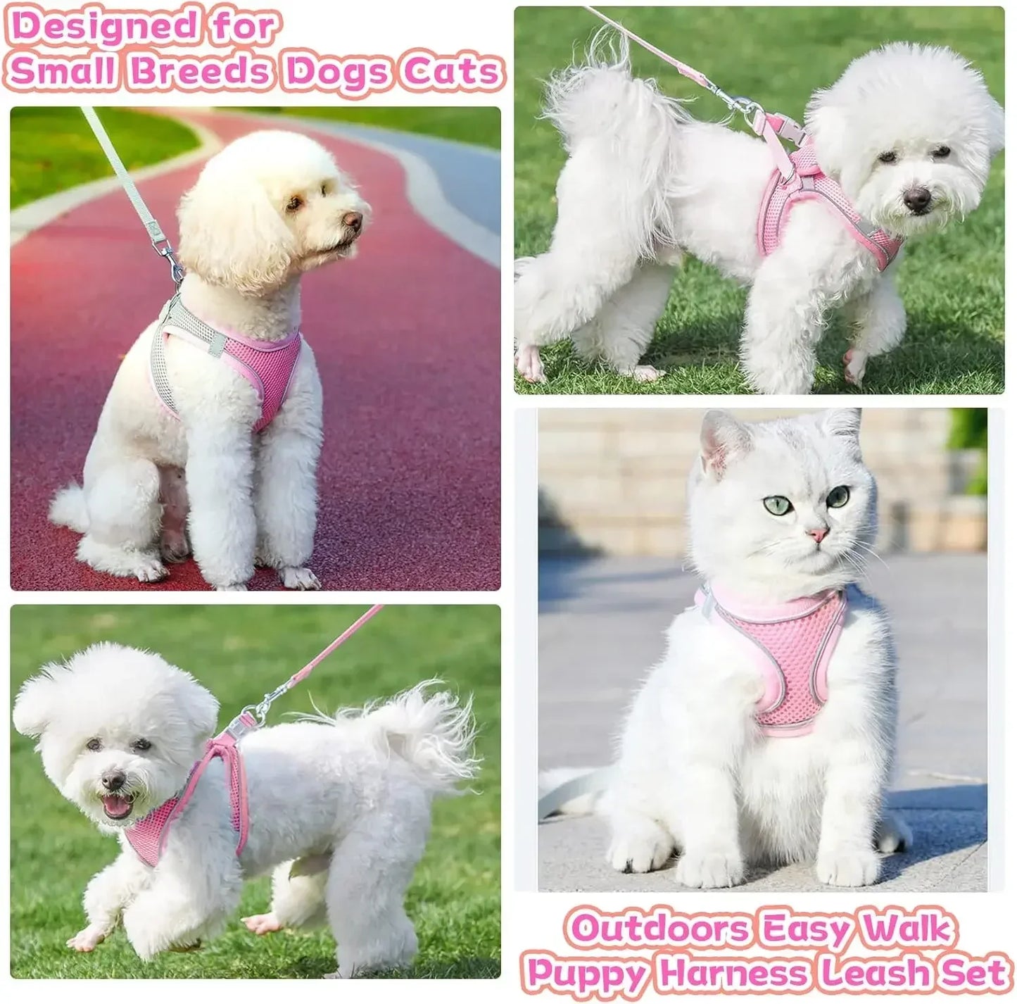 Escape-Proof Dog Harness and Leash Set for Small Dogs Cats Puppy Harness Vest Reflective Kitten Walking Lead Leash Pet Supplies